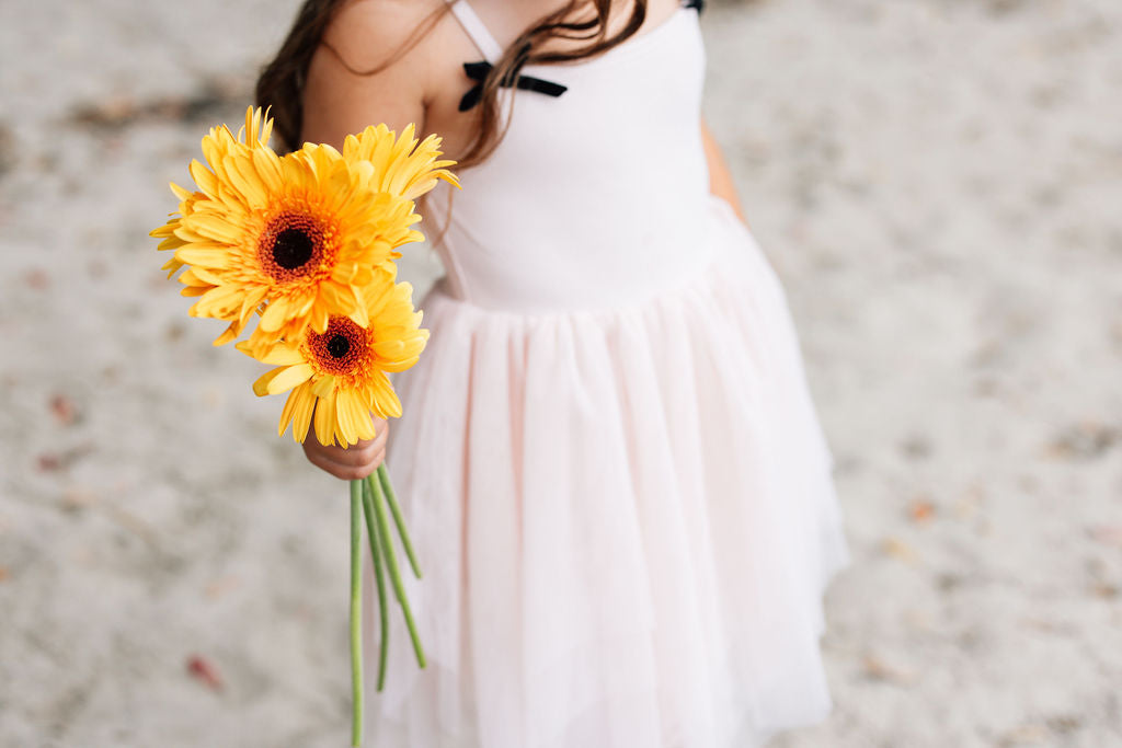 The Holiday Tulle Dress - Shell Pink