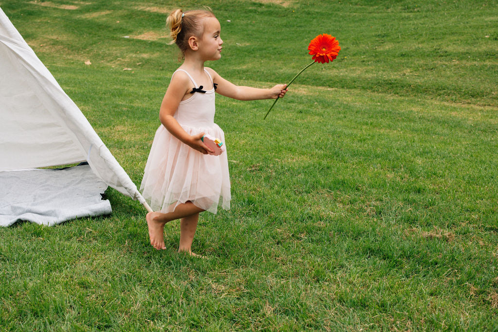 The Holiday Tulle Dress - Shell Pink