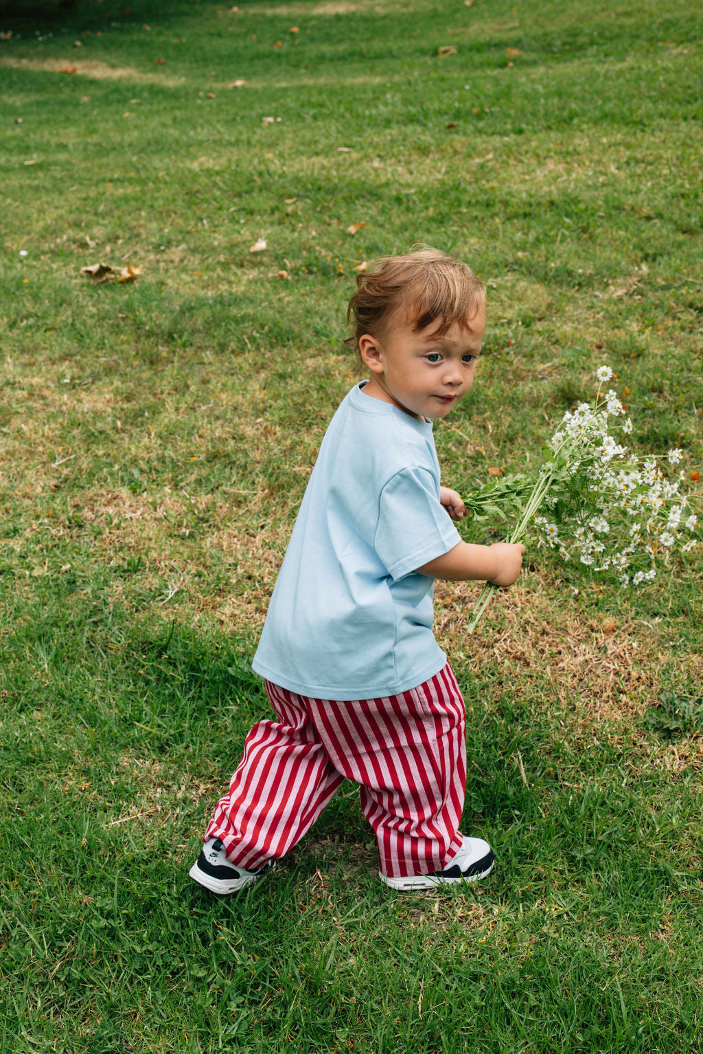 Stripe Cotton Pants - Red